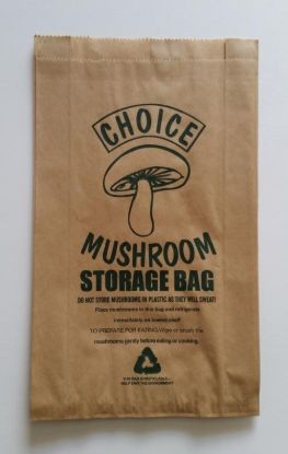 Picture of MUSHROOM BAG CHOICE 170x80x295mm CTN/1000