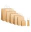 Picture of TWIST HANDLE KRAFT BAG BT 200x170x100 CTN/500